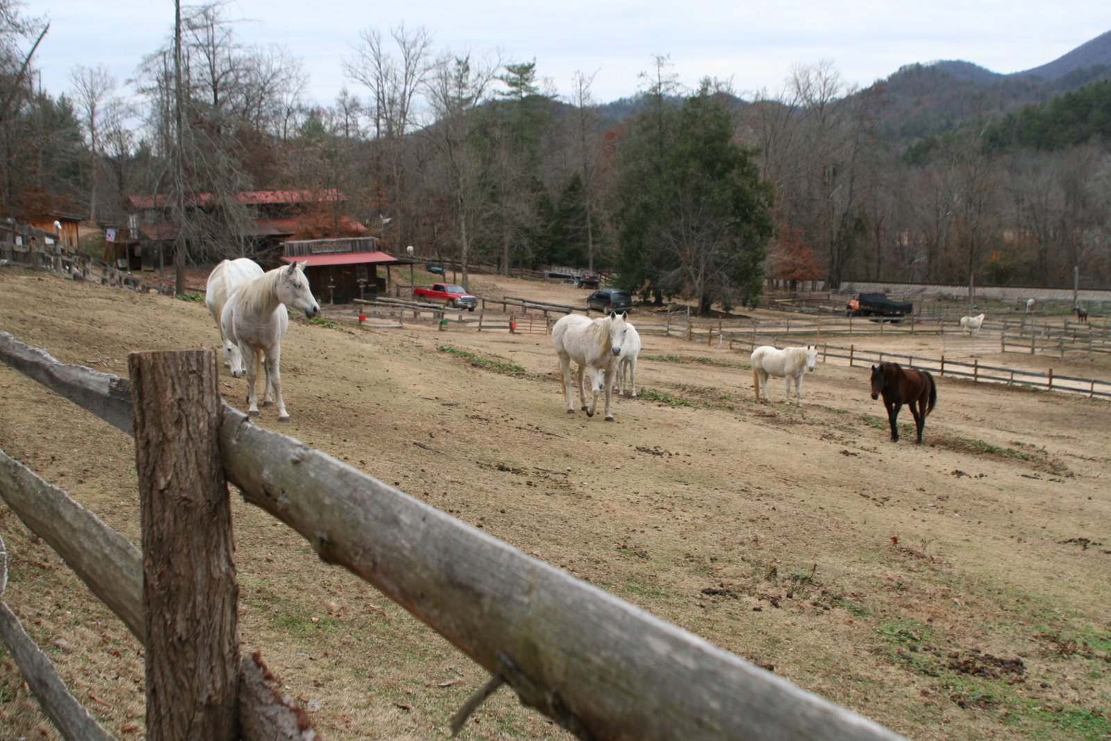 French Broad Outpost Ranch